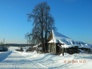 д.Шишкари (ankro)