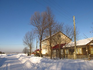 Дубы на ул.Набережной (Дмитрий Зонов)