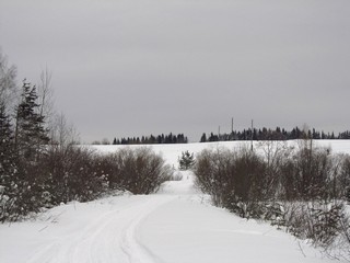 Дорога к д.Овсянники (Дмитрий Зонов)