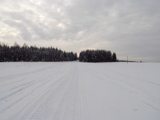 Поле у б/д Плешково (Дмитрий Зонов)