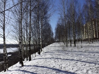 Вдоль обрыва, март (Дмитрий Зонов)