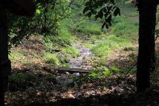 Источник в Маскануре (natalia.pereskokova)