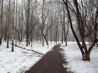  Дорожка в парке победы (Дмитрий Зонов)