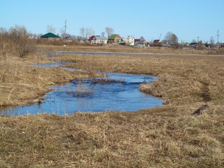 Протока из оз.Федоркова (Дмитрий Зонов)