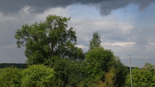 Летовцы.Перед грозой. (Луппов Александр)