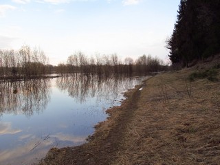Тропинка вдоль берега (Дмитрий Зонов)