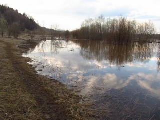 Тропинка вдоль берега, половодье (Дмитрий Зонов)