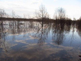 Облака (Дмитрий Зонов)