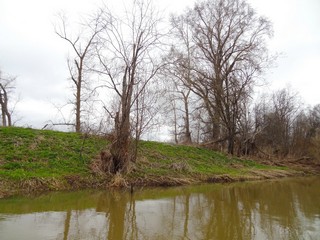 р. Кумёна около д. Шандариха (bokax)