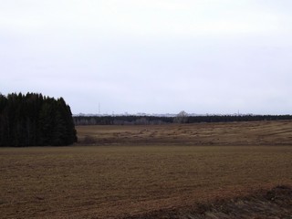 Поле, лес и город на горизонте (Дмитрий Зонов)