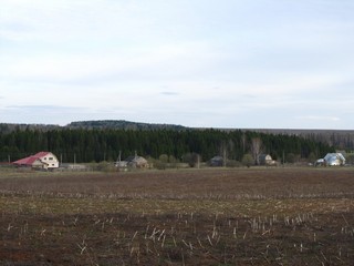 Малые Логуновы (Дмитрий Зонов)