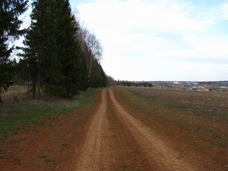 Дорога вдоль трассы (Дмитрий Зонов)