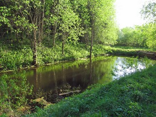 Противопожарный водоём (Дмитрий Зонов)