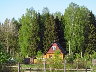  В садах (Дмитрий Зонов)