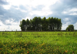 Вид на бывшую д. Суслопаровы. (Andrey Fetisov)