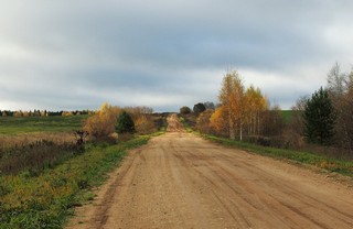 Дорога в с. Волма. (Andrey Fetisov)