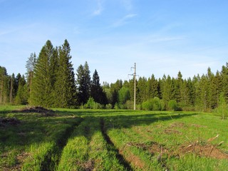 Колея по колено (Дмитрий Зонов)