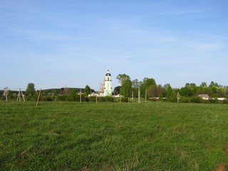 Село Волково, вид с запада (Дмитрий Зонов)