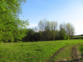 Заросший парк в с.Волково (Дмитрий Зонов)