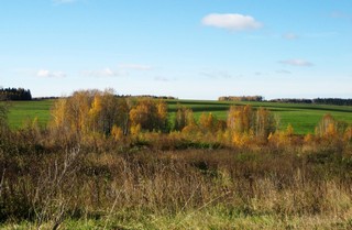 Вид на место исчезнувшей д. Хлебники. (Andrey Fetisov)