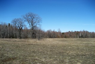 Местоположение бывшей д. Новоселы исчезнувшей в середине XXв. (Andrey Fetisov)
