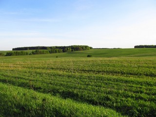 Майские холмы, Слободской район (Дмитрий Зонов)