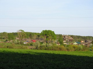 Заречная часть Волково, май (Дмитрий Зонов)