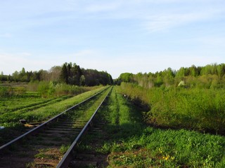 Железная дорога на Слободской (Дмитрий Зонов)