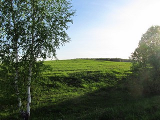 Холм с известняком (Дмитрий Зонов)