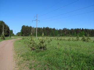 Под ЛЭП (Дмитрий Зонов)