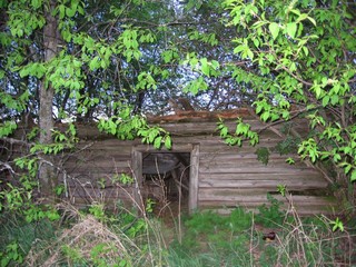 Вӧсяськон инты (Гири Лукыш (vorgoron))