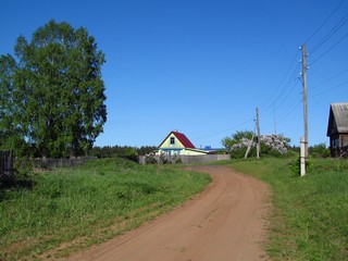 Угловой домик с сиренью (Дмитрий Зонов)