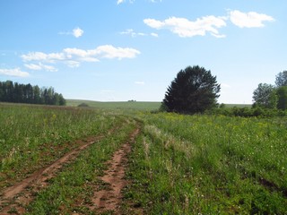 Полевая дорога в сторону с.Волково (Дмитрий Зонов)