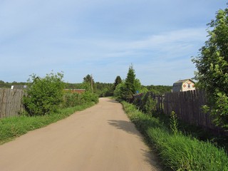 Дорога в садах (Дмитрий Зонов)