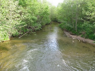 Речка Сандаловка ниже моста (Дмитрий Зонов)
