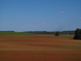 Вид со склона на д.Богомазы и КП 