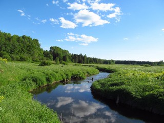 Никульчинка ниже плотины (Дмитрий Зонов)