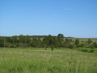 Здесь был пруд и большая деревня Выдринцы (Дмитрий Зонов)