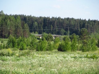 Ж/д мост через р.Никульчинку (Дмитрий Зонов)