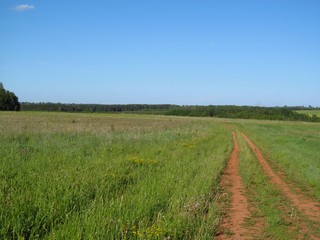 Дорога к д.Малые Логуновы (Дмитрий Зонов)