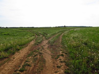 Распутье без камня (Дмитрий Зонов)