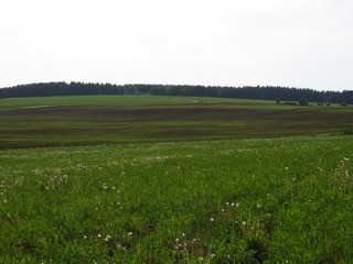 Холм 186,5 м - высшая точка местности (Дмитрий Зонов)