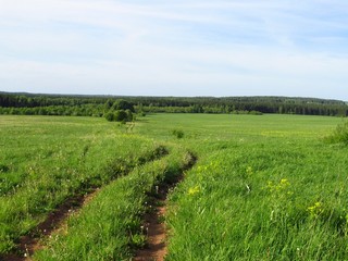 Дорога к б/д Соловьи (Дмитрий Зонов)