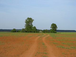 Касьяновы (Дмитрий Зонов)