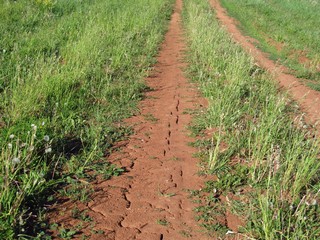 Засуха, начало июня 2014 (Дмитрий Зонов)