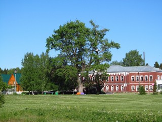 Санаторий Митино (Дмитрий Зонов)