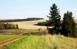 Вид с возвышенности на дорогу в c.Верхосунье. (Andrey Fetisov)