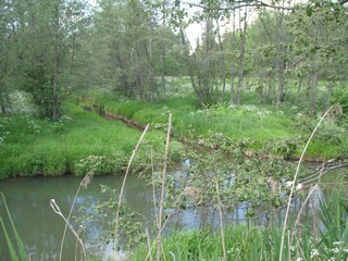 Устье реки Филимоновки (Slaviantus)