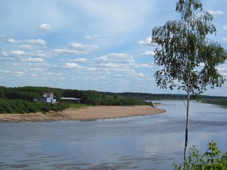 Одинокая берёзка (Дмитрий Зонов)