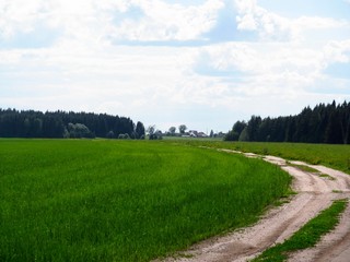 Вид в сторону д.Сапожнята (Дмитрий Зонов)